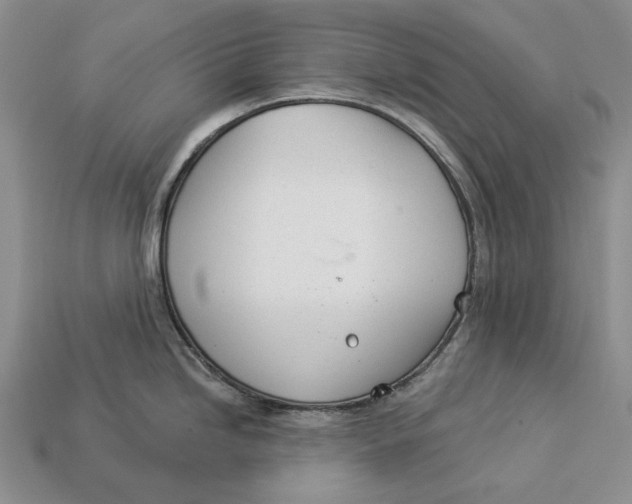 X0000112981246200909171332