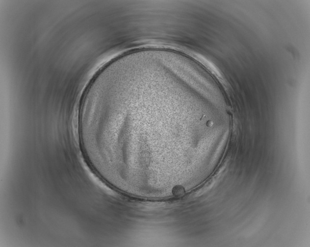 X0000112981247200909171332