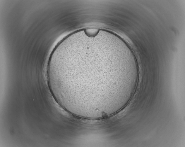 X0000112981248200909171332