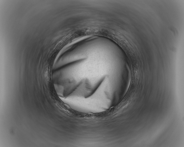 X0000112981250200909171331