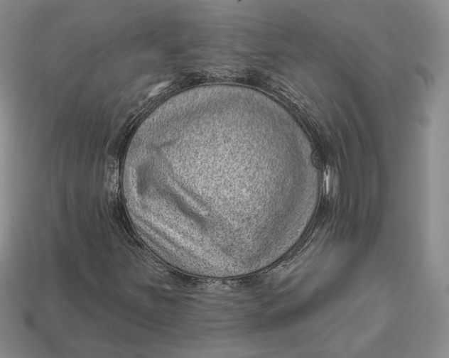 X0000112981251200909171331