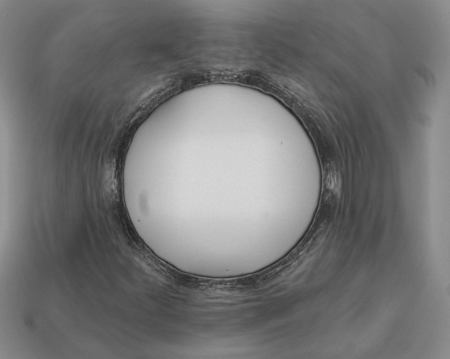 X0000112981252200909171331