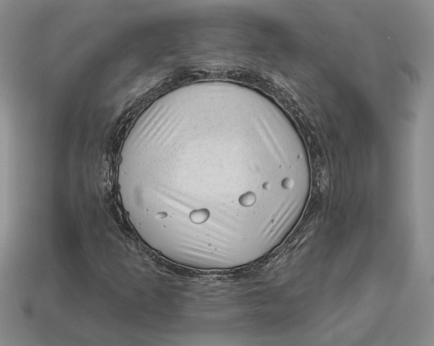 X0000112981253200909171331