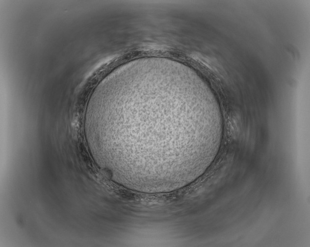 X0000112981254200909171331