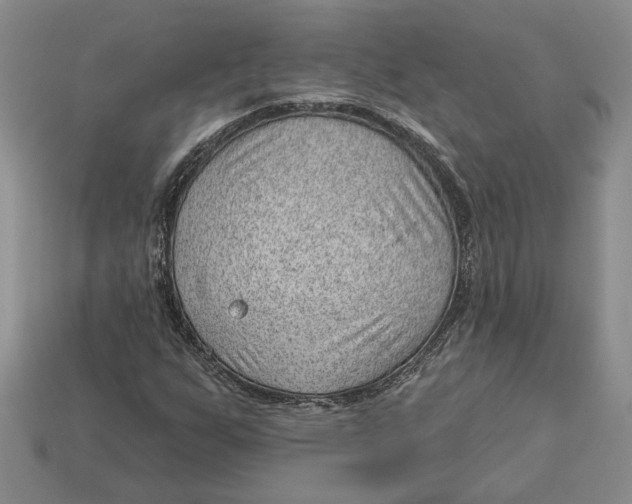 X0000112981255200909171331