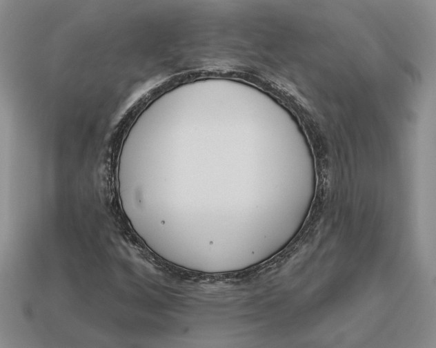 X0000112981256200909171331