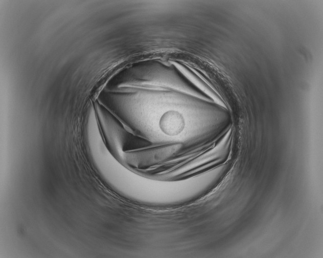 X0000112981257200909171331