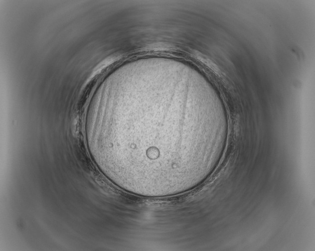 X0000112981258200909171331