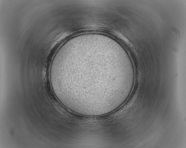 X0000112981259200909171331