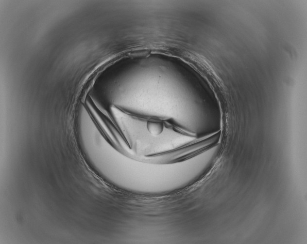 X0000112981260200909171331