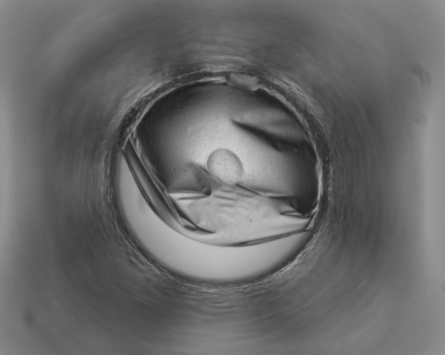 X0000112981261200909171331