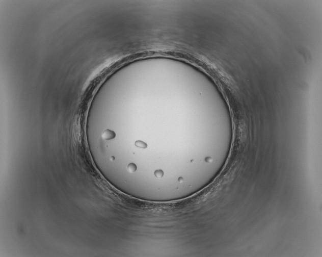 X0000112981262200909171331