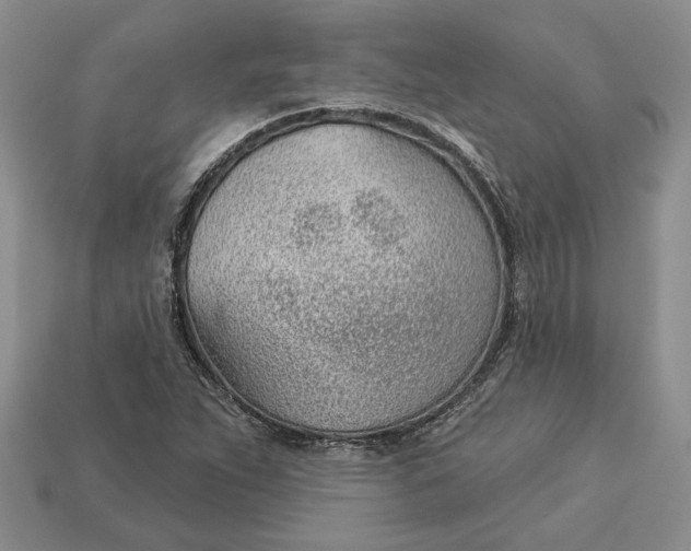 X0000112981263200909171331