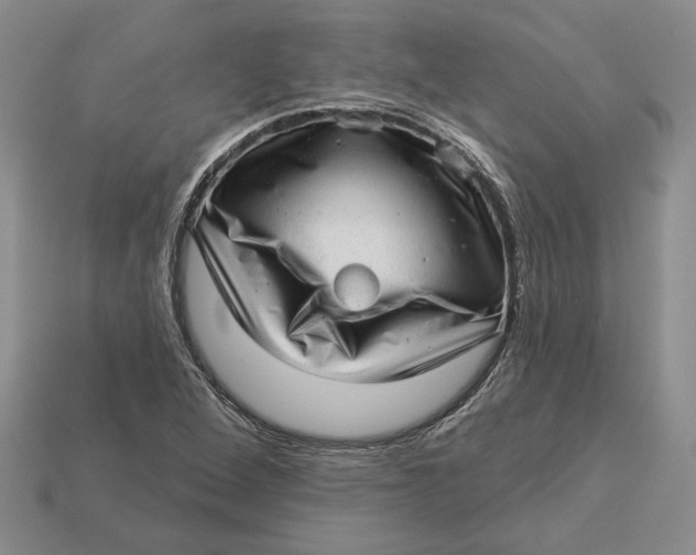 X0000112981264200909171331