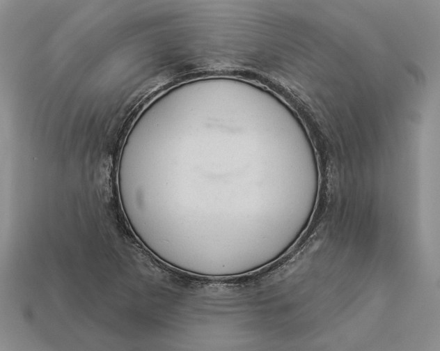 X0000112981265200909171331