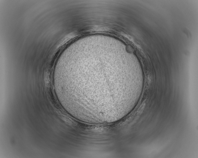 X0000112981266200909171331