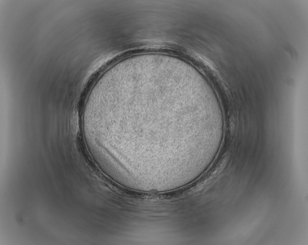 X0000112981267200909171331