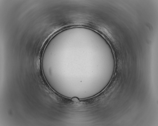 X0000112981268200909171331