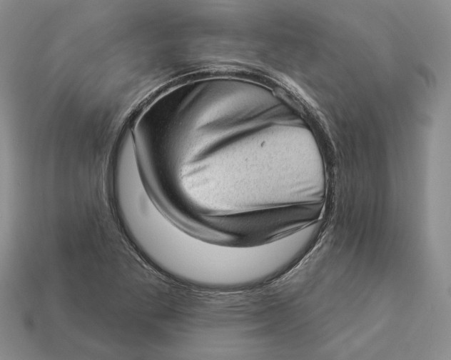 X0000112981269200909171331