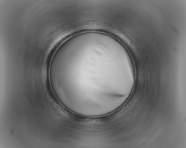 X0000112981270200909171331