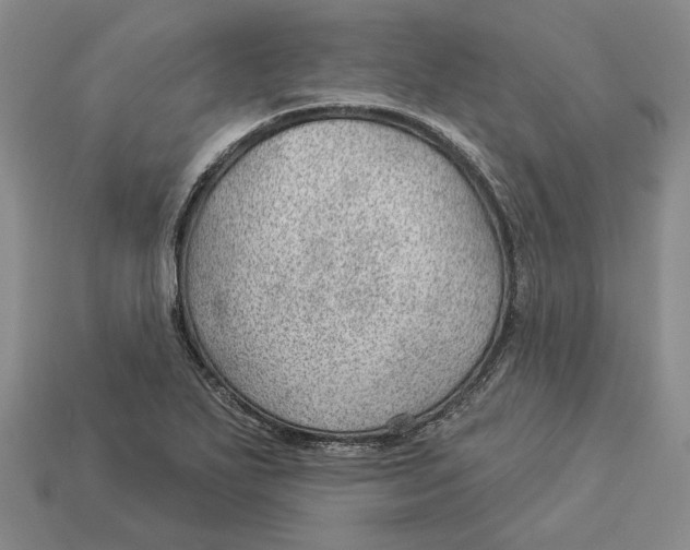 X0000112981271200909171331