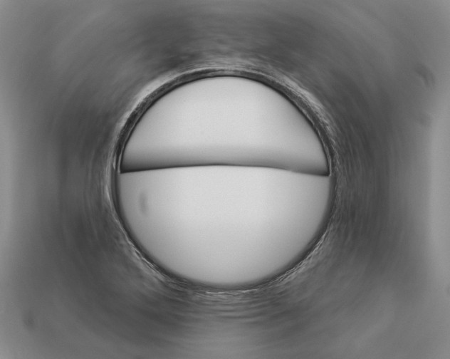 X0000112981272200909171331