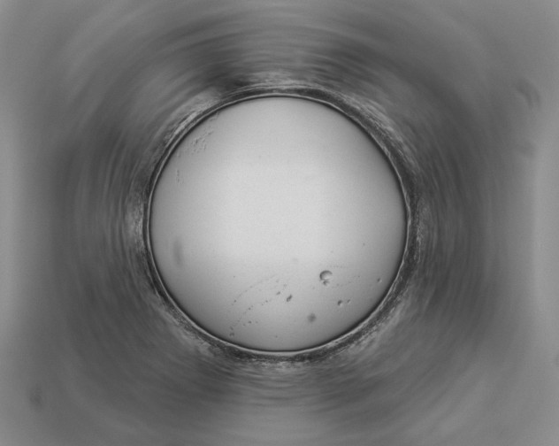 X0000112981273200909171331