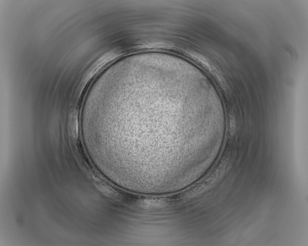 X0000112981274200909171331