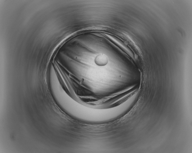 X0000112981276200909171331