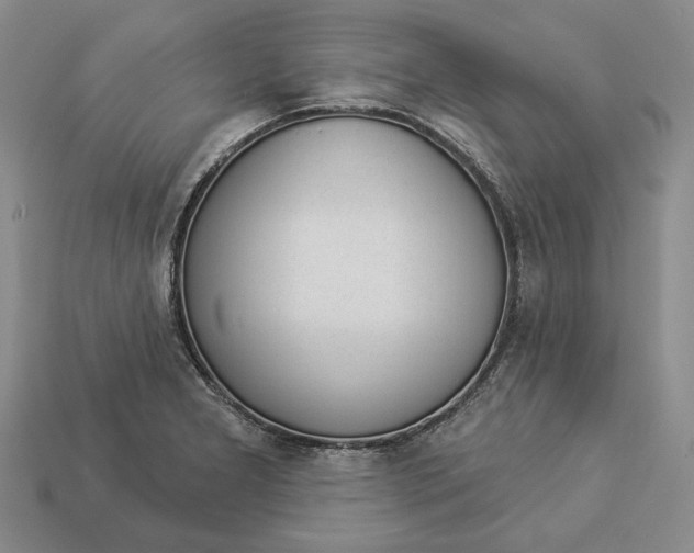 X0000112981277200909171331