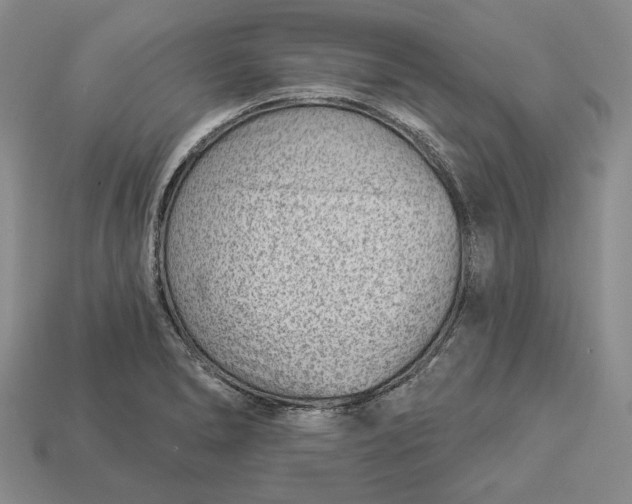 X0000112981278200909171331