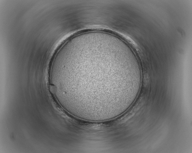 X0000112981279200909171331