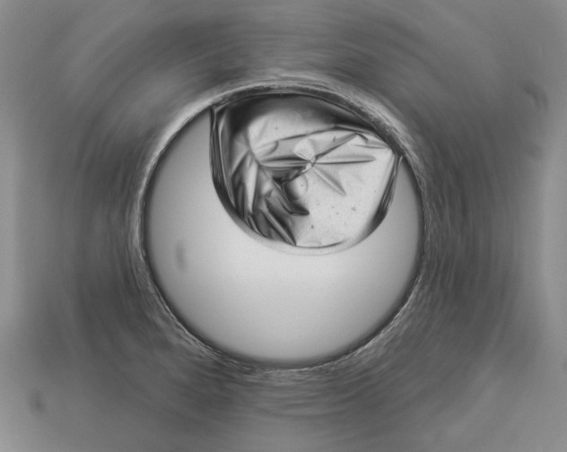 X0000112981280200909171331