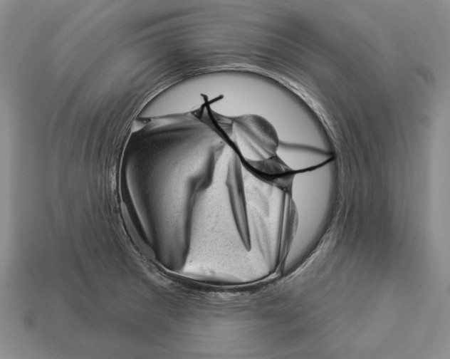 X0000112981281200909171331