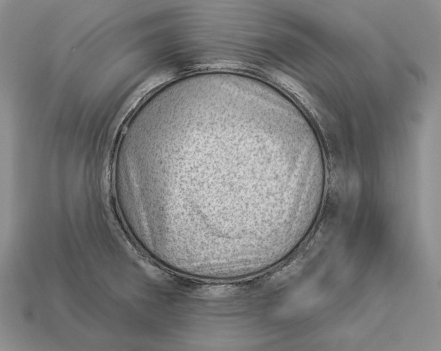 X0000112981282200909171331