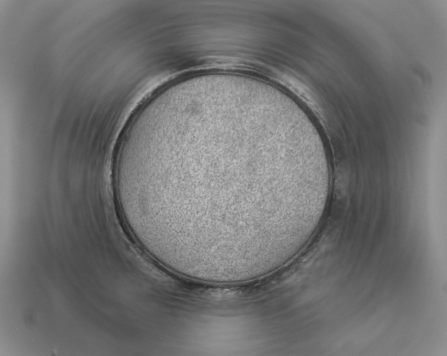 X0000112981283200909171331