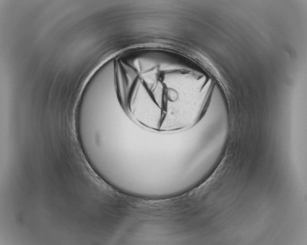 X0000112981284200909171331