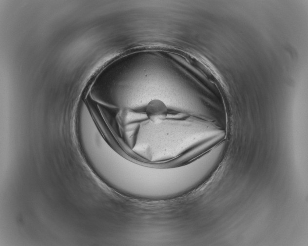 X0000112981285200909171331