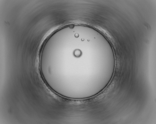 X0000112981286200909171331