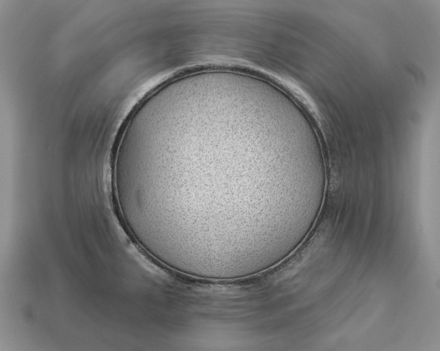 X0000112981287200909171331