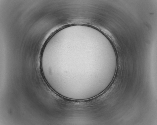 X0000112981288200909171331