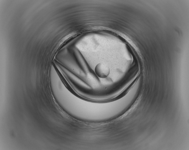 X0000112981289200909171331