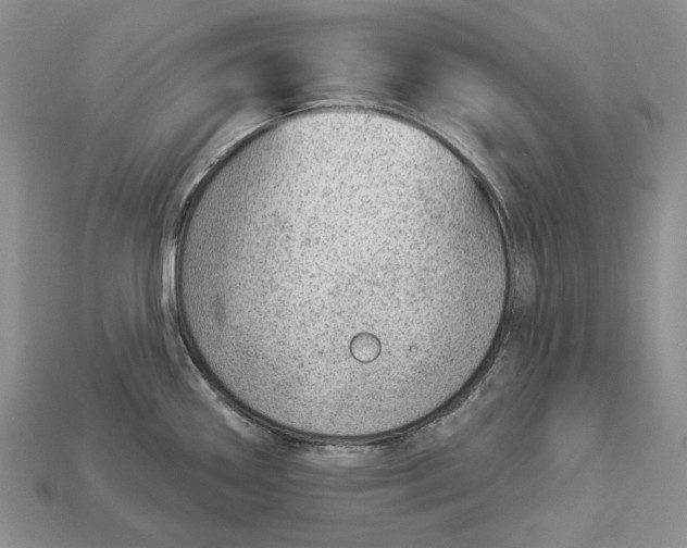 X0000112981290200909171331