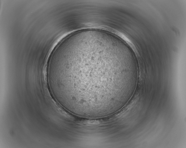 X0000112981291200909171331