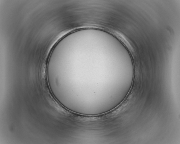 X0000112981292200909171331