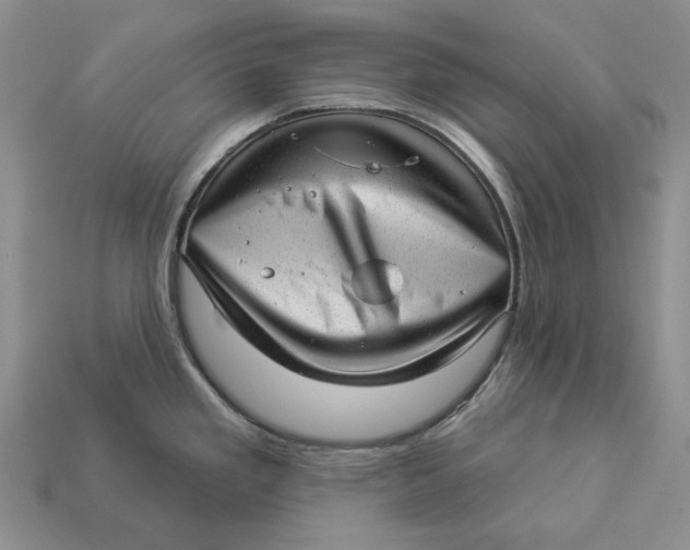 X0000112981293200909171331