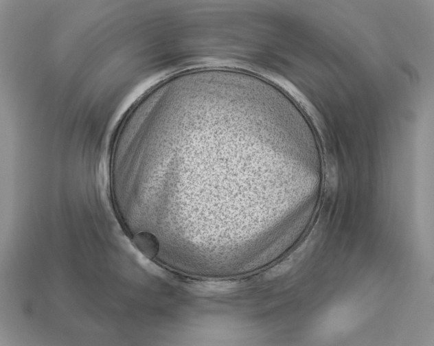 X0000112981294200909171331