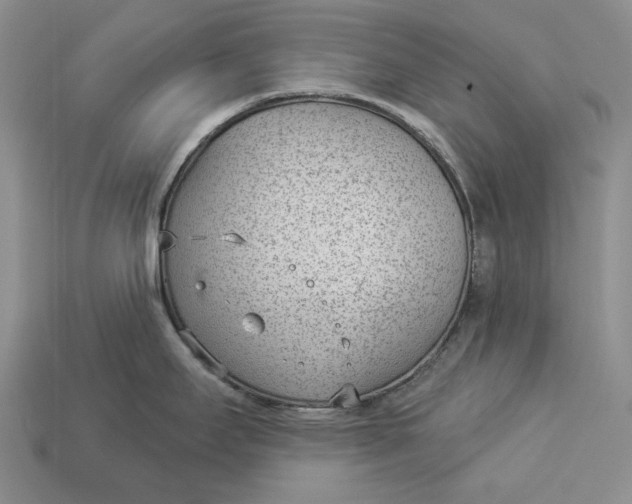 X0000112981295200909171331