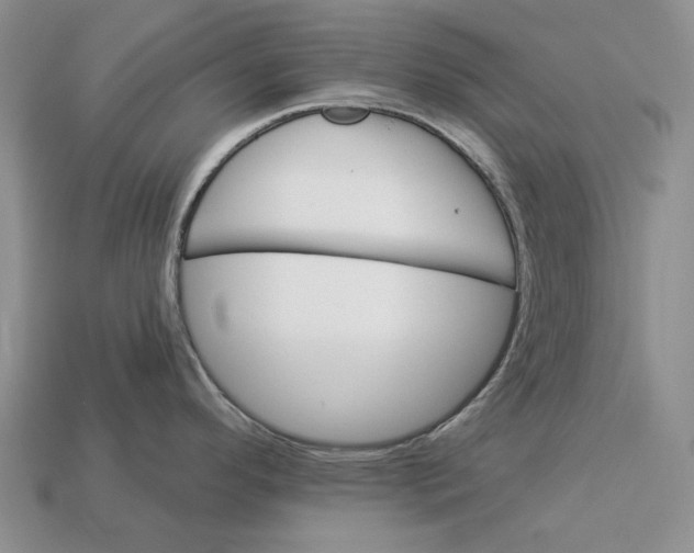 X0000112981296200909171331