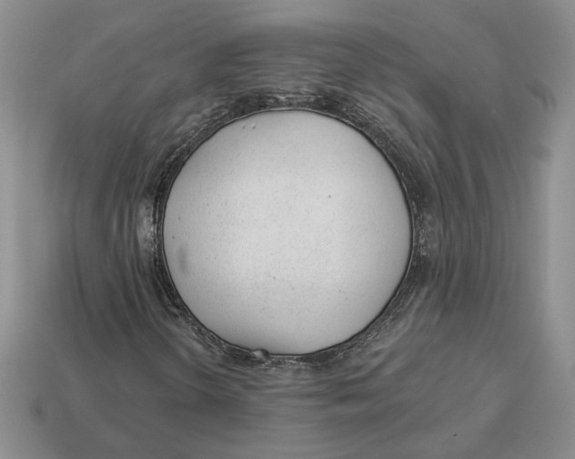 X0000112981298200909171330